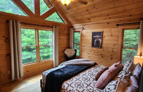 456e2ced91654674a1ea17278baf3bf3 LargeOriginal.jpg