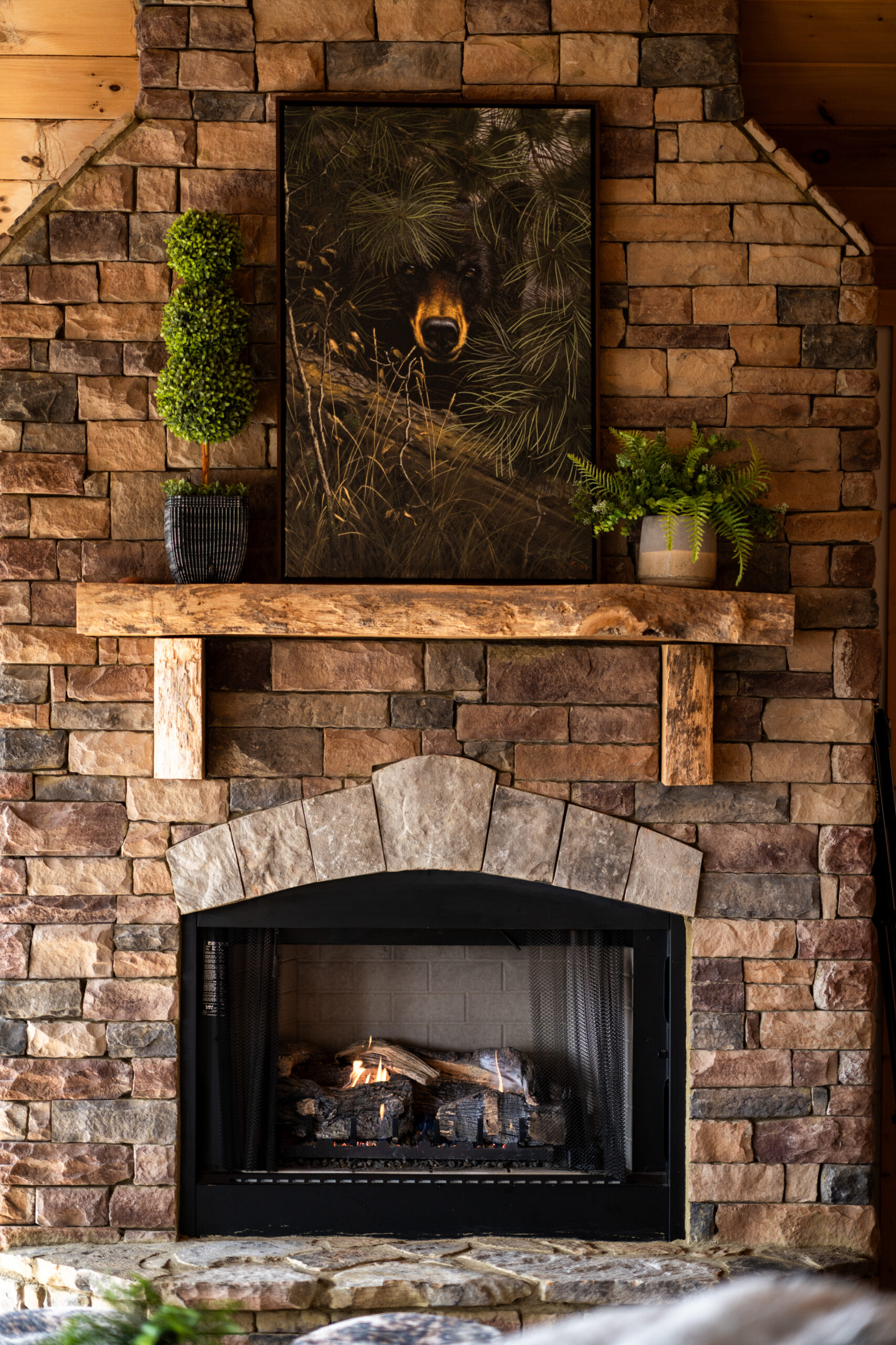 private mountain cabin Blue Ridge GA